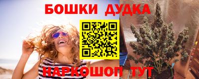 кокс Нальчик