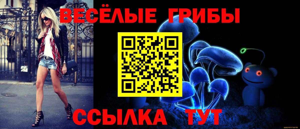 Галлюциногенные грибы Psilocybe Учалы