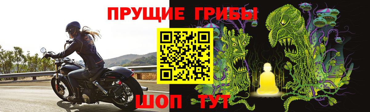 Псилоцибиновые грибы прущие грибы  Вход с VPN  Учалы 